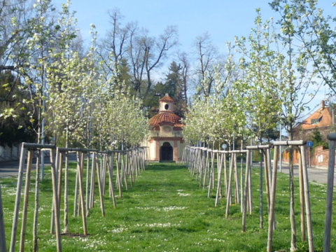 Křížová cesta u kaple Nejsvětější Trojice