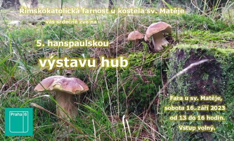 Výstava hub 2023.